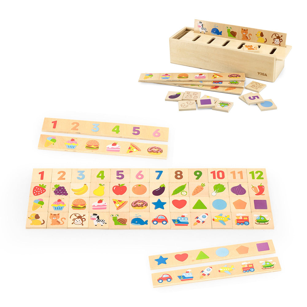 Classification Sorting Box