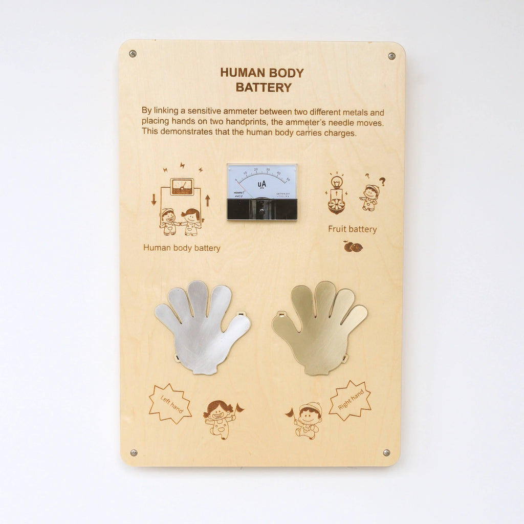 Human Battery Panel