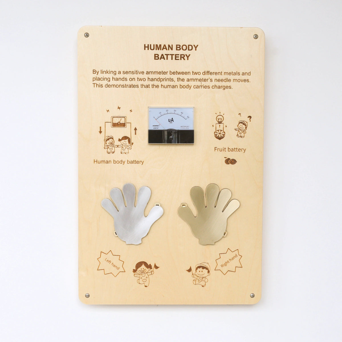 Human Battery Panel